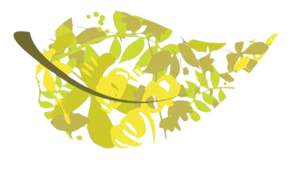 Hailey Chiropractic